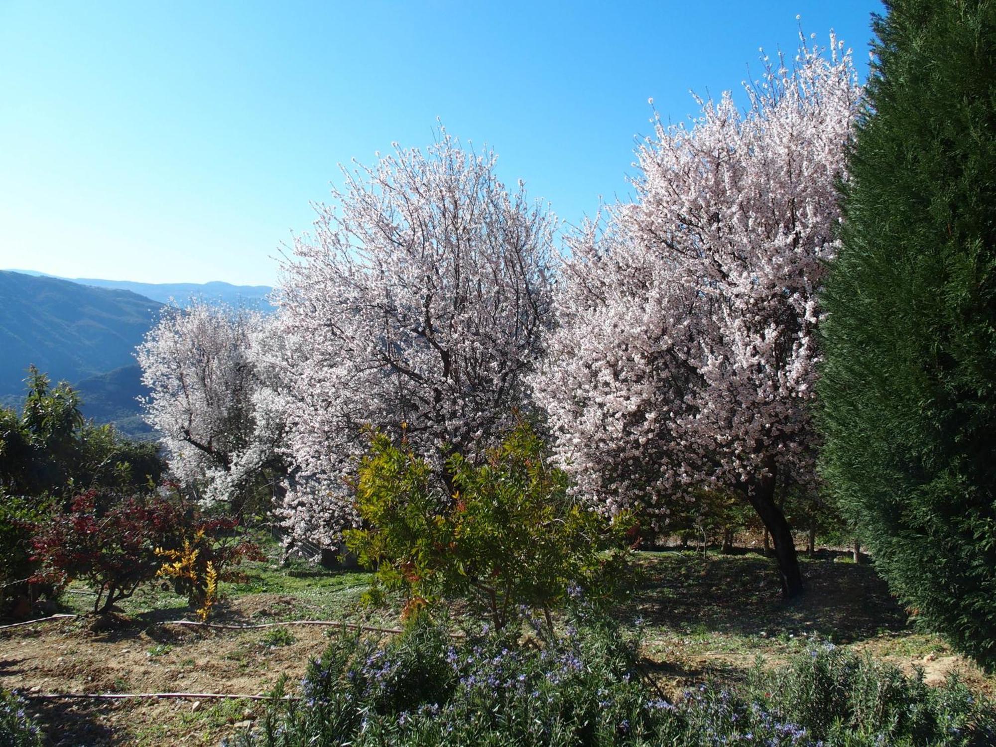 Ktima Noosfera Wellness & Retreat Center Hotel Karya Eksteriør billede